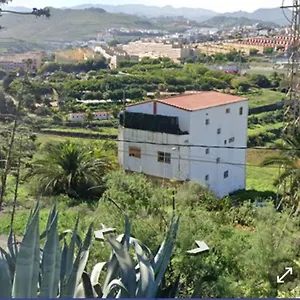 -the Garden - Las Palmas de Gran Canaria